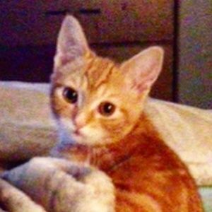 Meet your Posher, Stacey